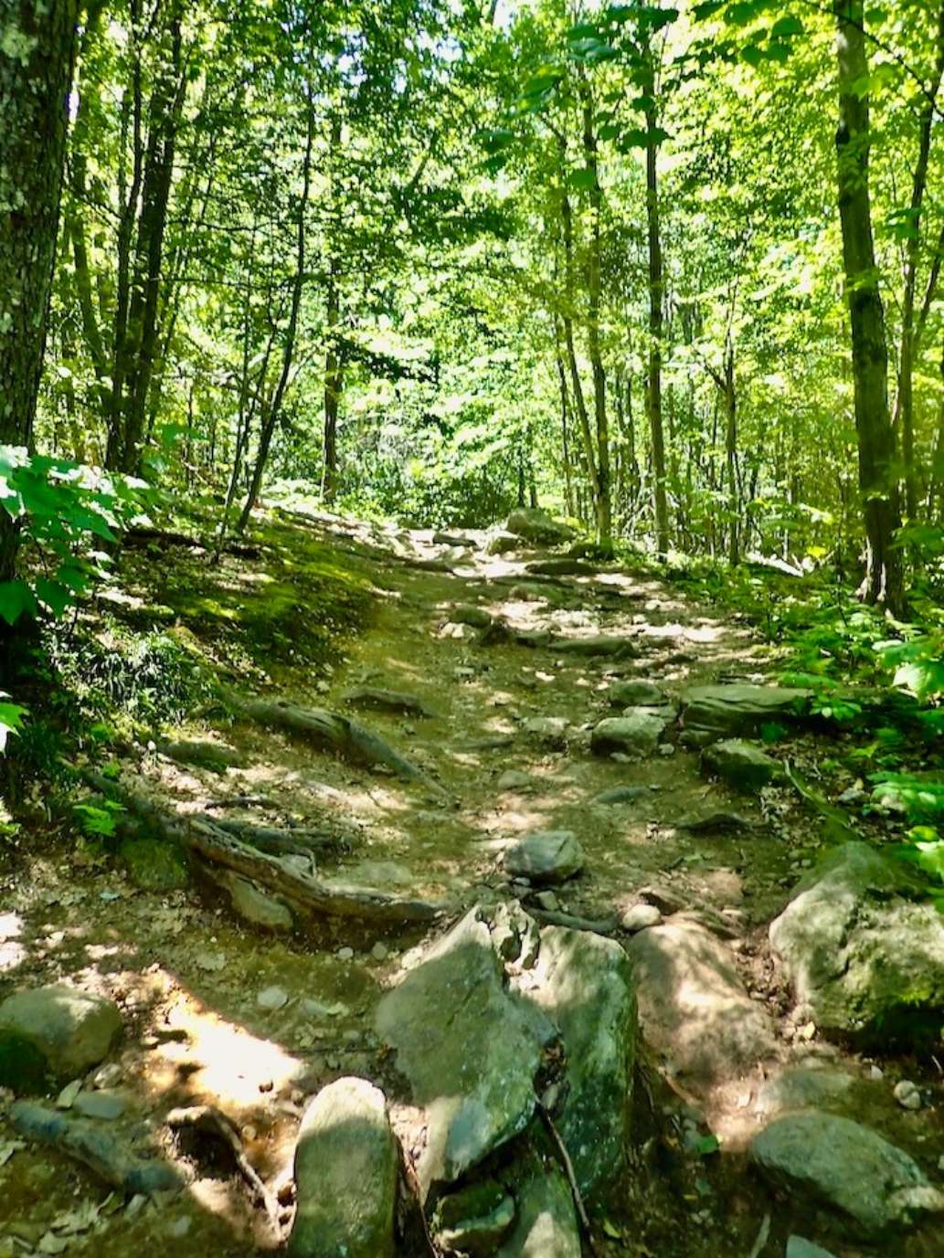 Wachusett Mountain State Reservation