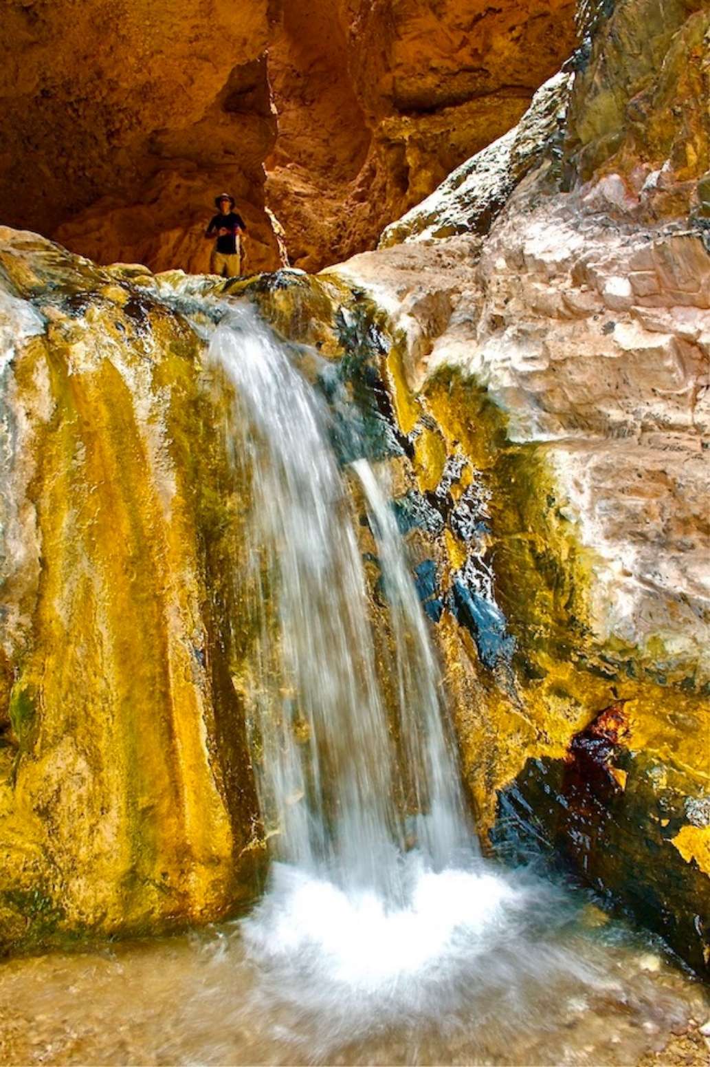 Western River Expeditions