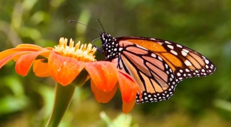 Coastal Maine Botanical Gardens