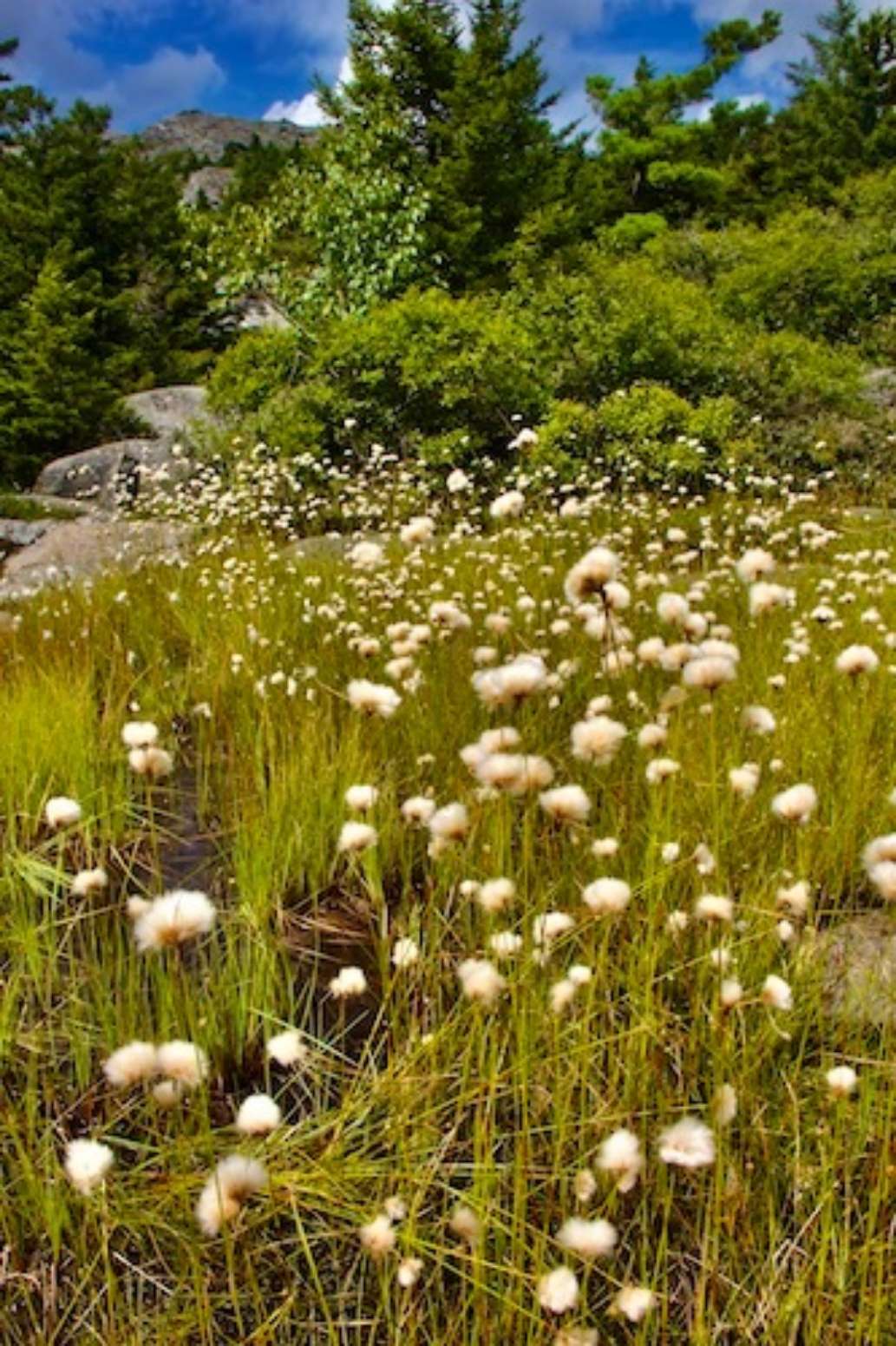 Monadnock State Park, New Hampshire