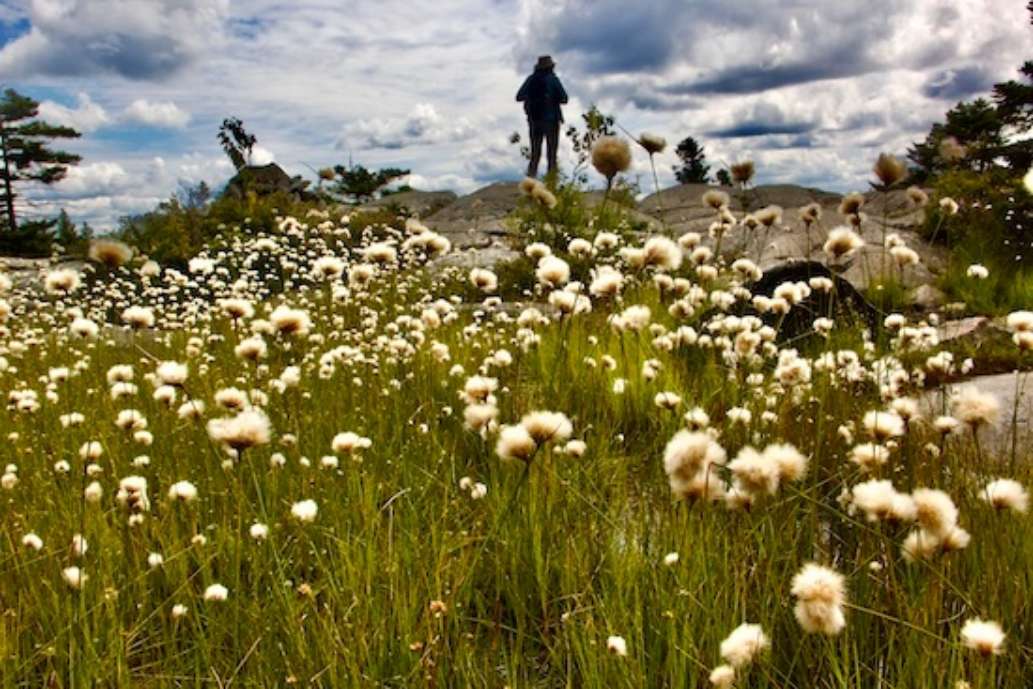 Monadnock State Park, New Hampshire