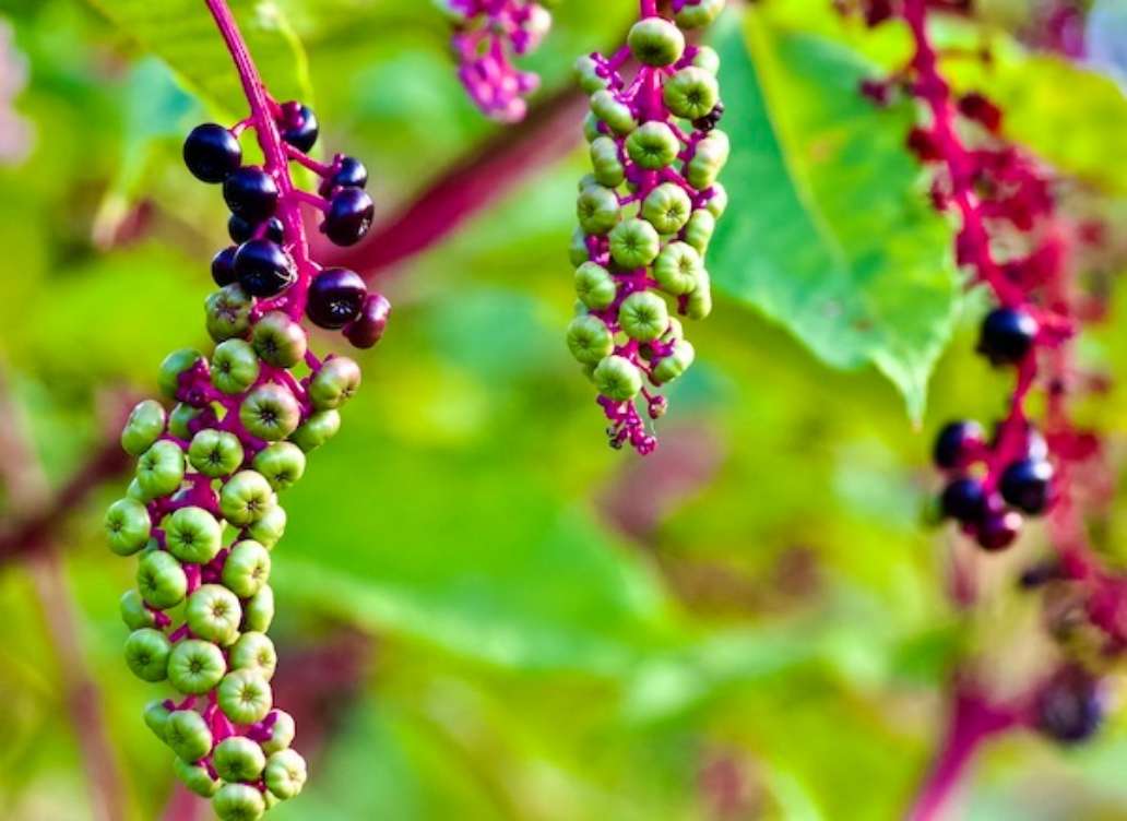 Wompatuck State Park