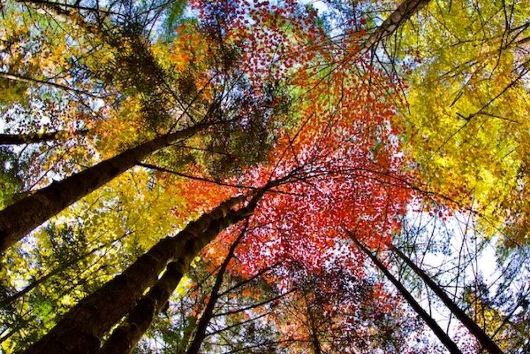 Wompatuck State Park