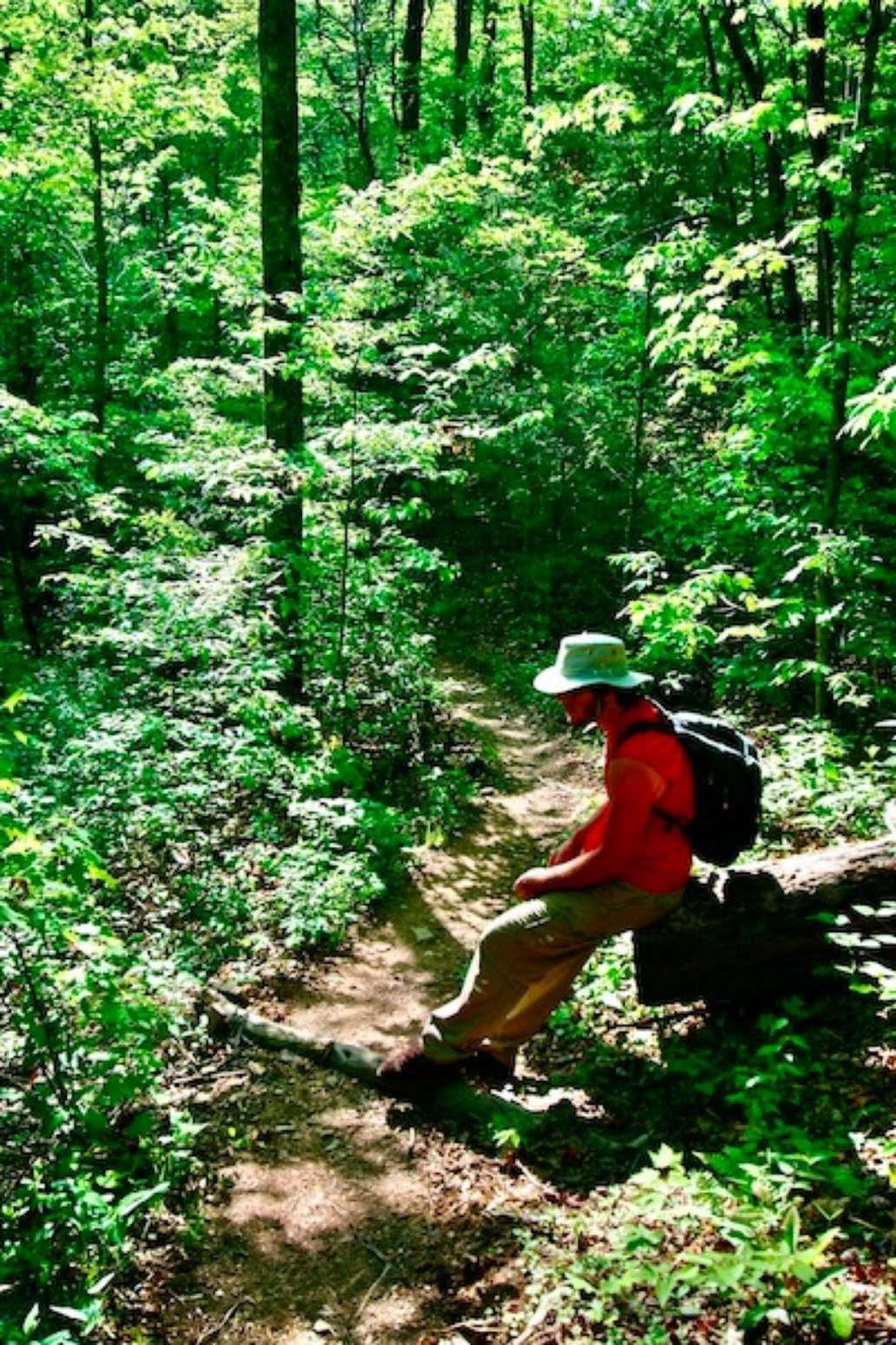 Wompatuck State Park