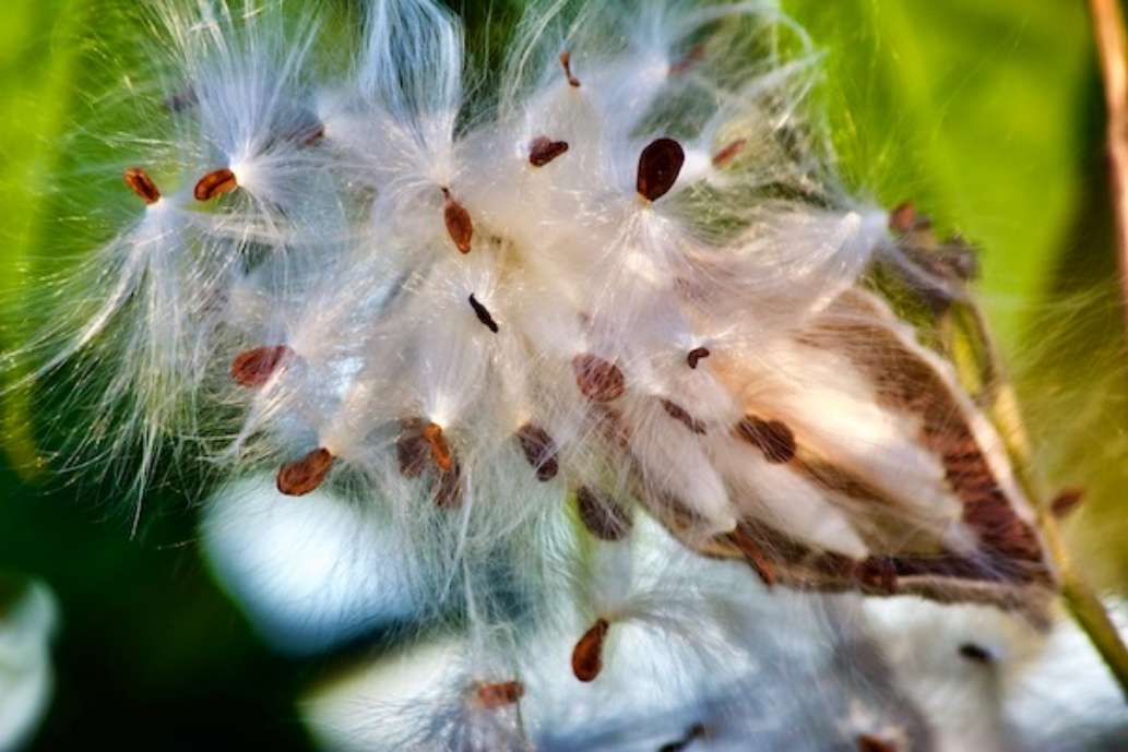 Wompatuck State Park