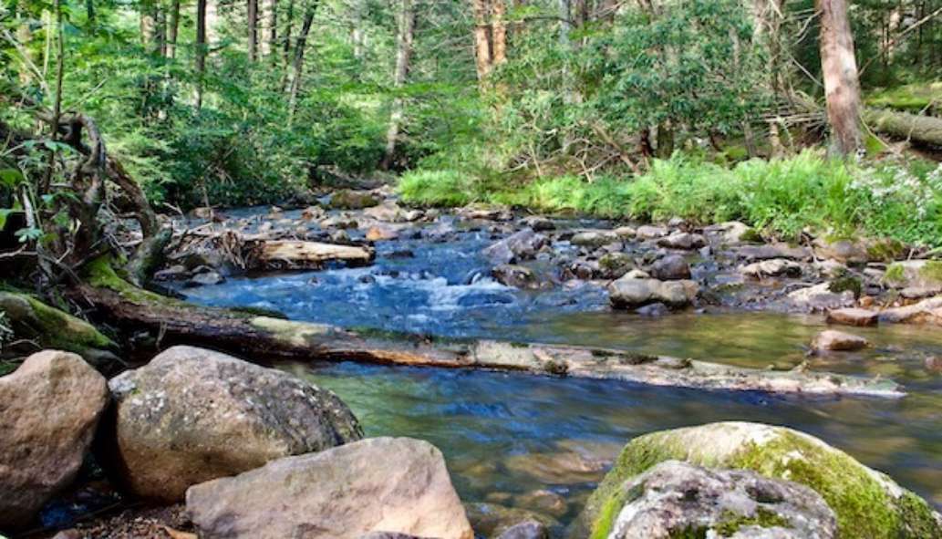 Hickory Run State Park