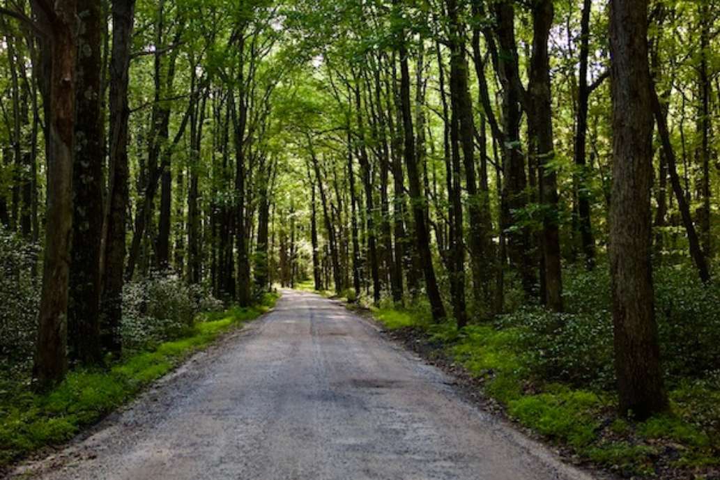 Hickory Run State Park