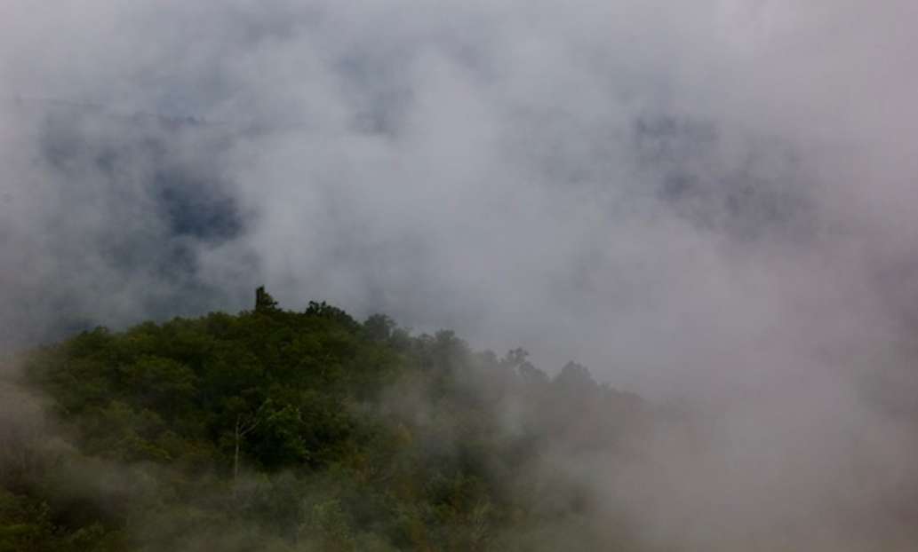 Shenandoah National Park