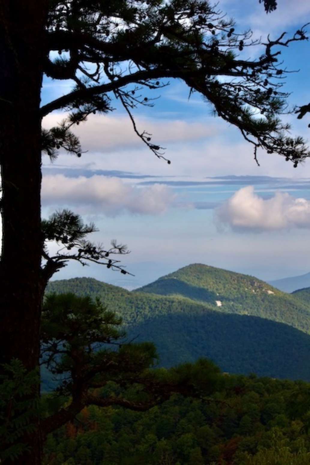 Blue Ridge Parkway