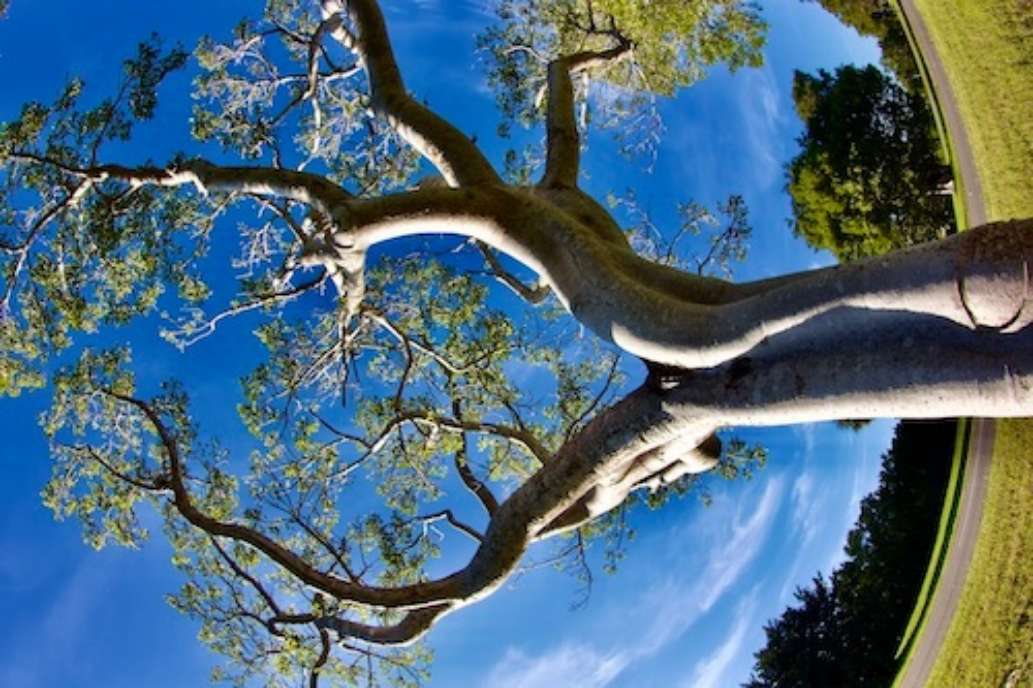 Flamingo Campground, Everglades National Park