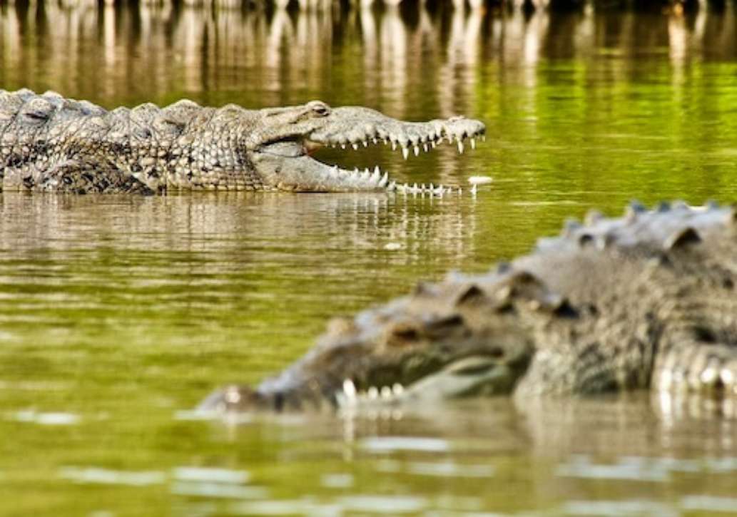 Flamingo Campground, Everglades National Park