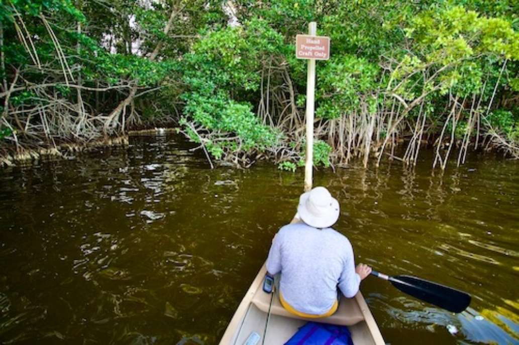 Flamingo Campground, Everglades National Park