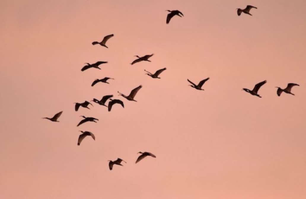 Monument Lake Campground, Big Cypress National Preserve