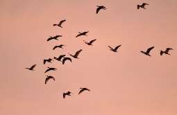 Monument Lake Campground