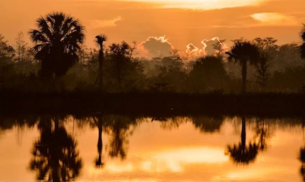 Monument Lake Campground, Big Cypress National Preserve