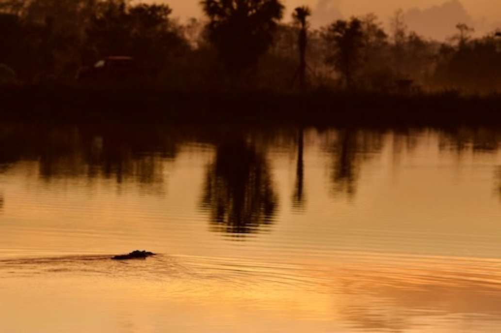 Monument Lake Campground, Big Cypress National Preserve