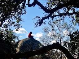 Mount Diablo State Park