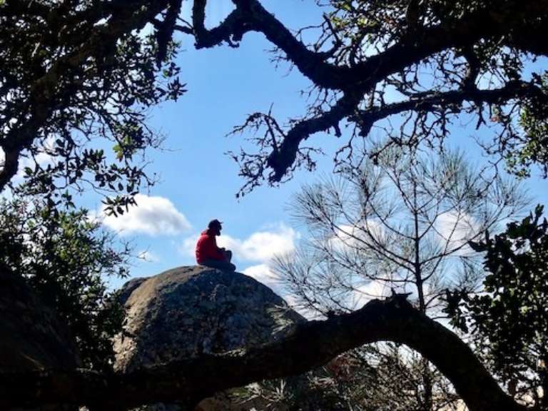 Mount Diablo State Park