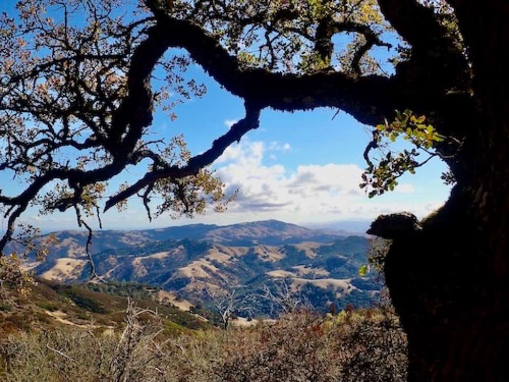 Mount Diablo State Park