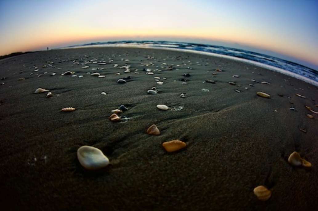 Okracoke Island Campground