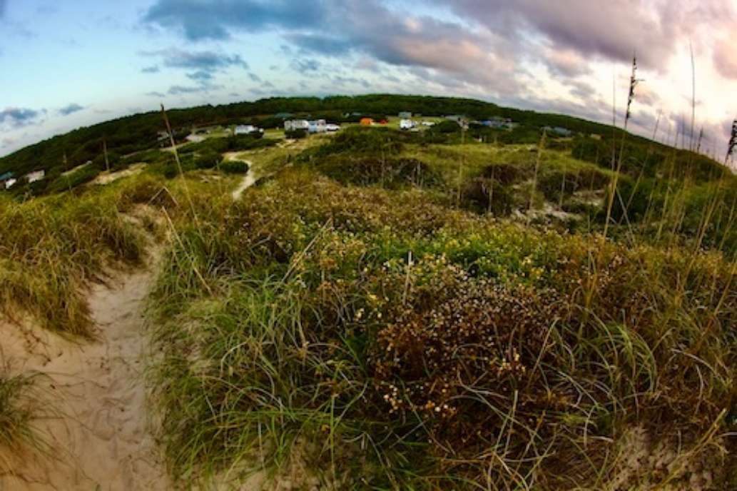 Okracoke Island Campground