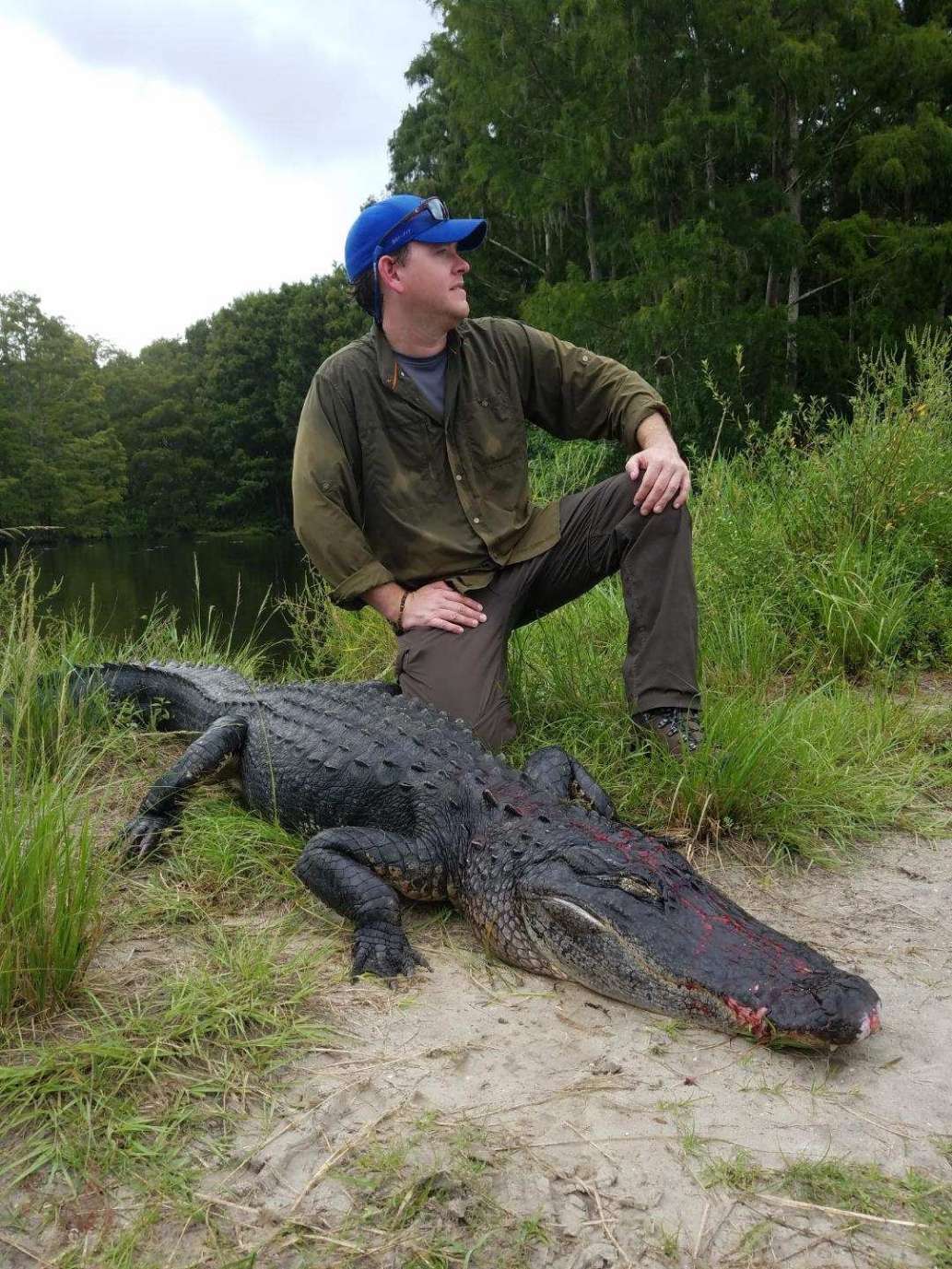 Florida Gator hunting
