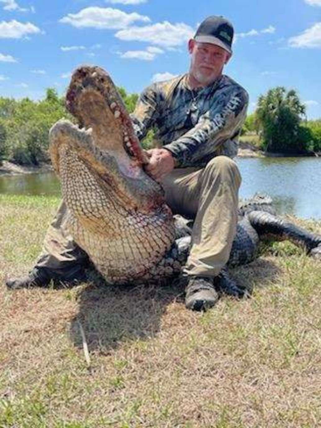 Florida  alligator  hunt