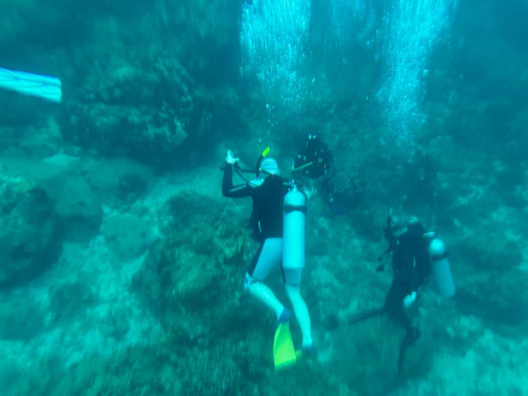 Rainbow Divers - Fantastic Experience