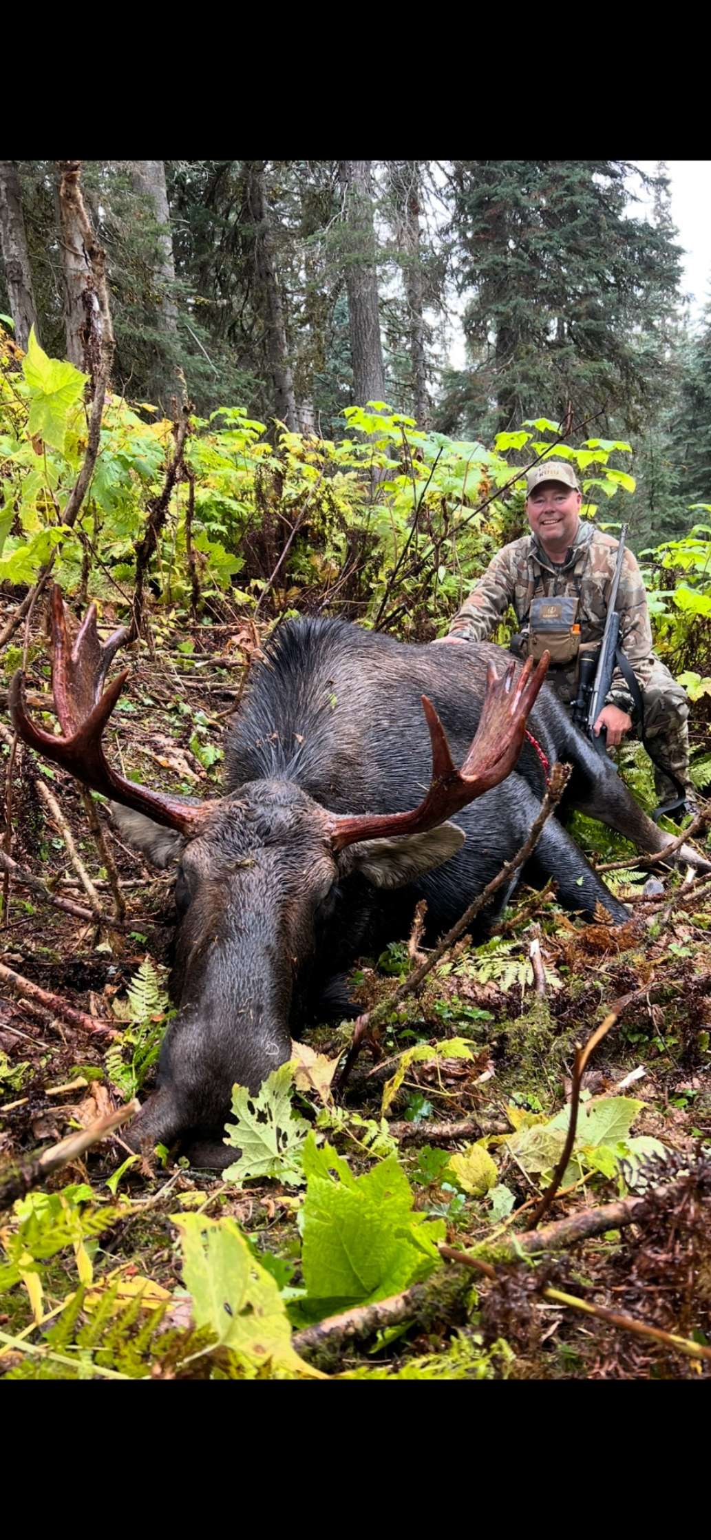 Great moose hunt