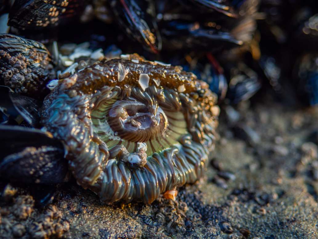 A Walk on the Bottom of the Ocean
