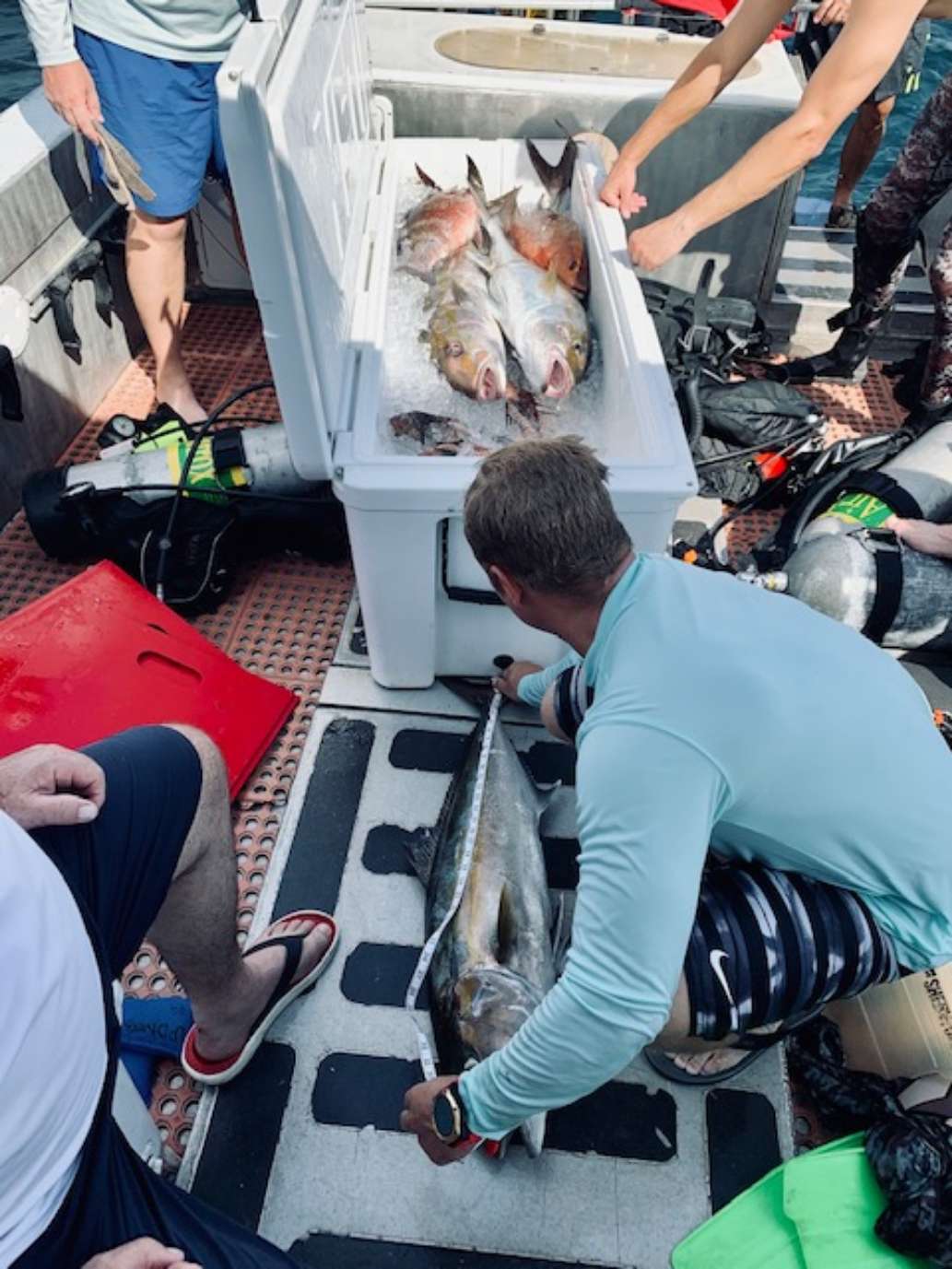 Unreal spearfishing experience!!! 