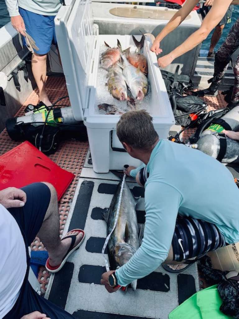 Spearfishing Dread Knot Charters 