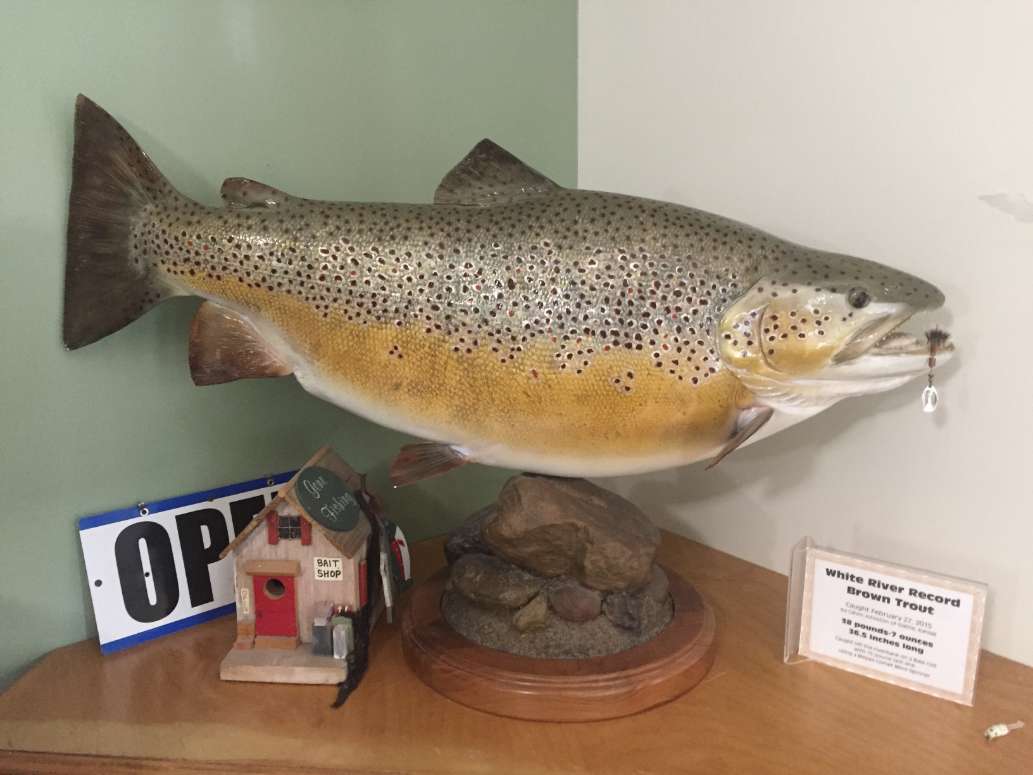 Friendly campground and cabins right on the White