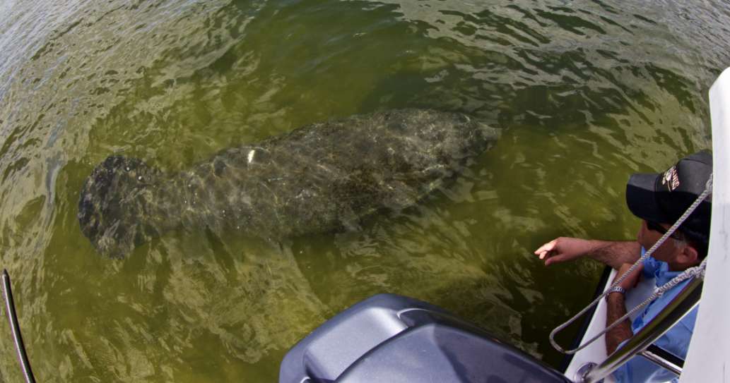 Merritt Island National Wildlife Refuge review