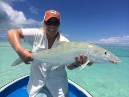 List     Your    Business