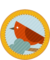 Watching Watching