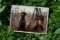 Scattergun Reserve, LLC