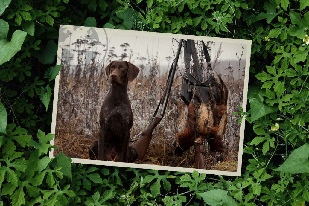 Kodiak Charters