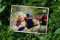 Rise Up River Trips - Day Tours