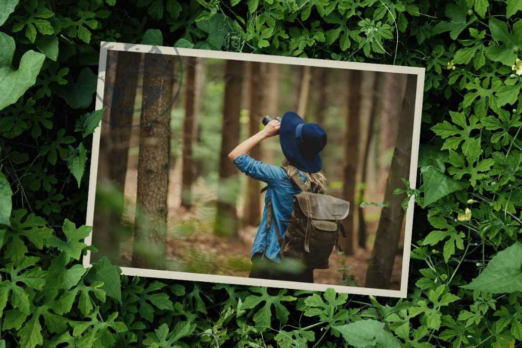 Happy Go Lucky Boat Tours