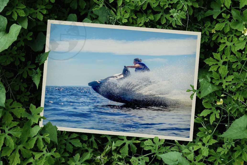 Flamingo Yacht Charters